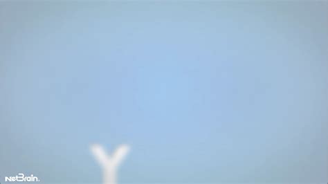 Image result for NetBrain REST API GitHub