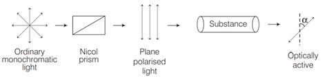 SATHEE: Organic Compound Containing Halogens Part 2