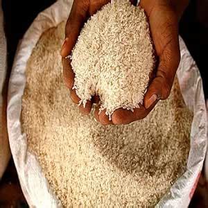 Kala Namak Basmati Rice 10 kg Diabetic Friendly High in Zinc and Iron ...