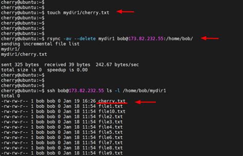 How to Use Rsync Between 2 Servers 的图像结果