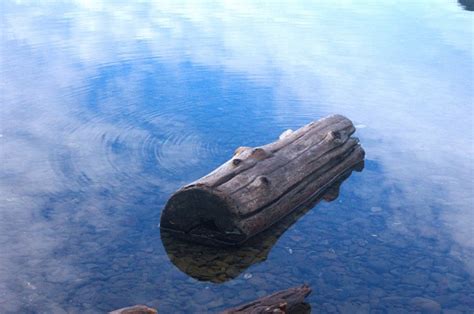 Floating Log 的图像结果