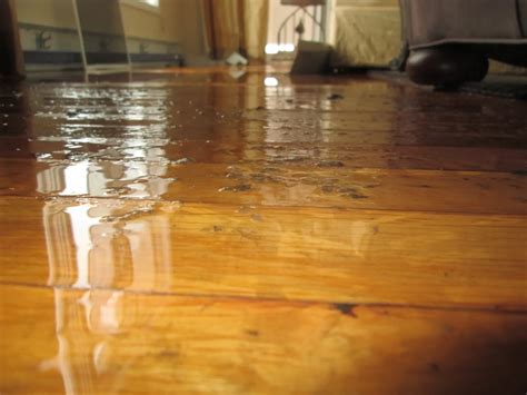 Best 5 Tips on How To Fix Water Damage on Hardwood Floor