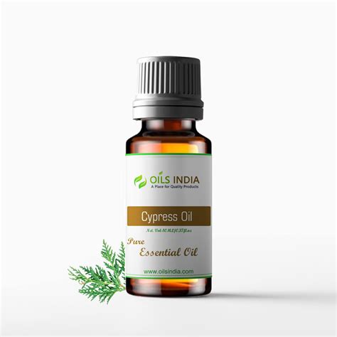 Cypress Essential Oil Benefits | Cypress Oil - Oils India