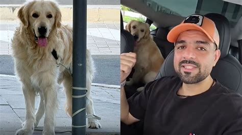 'It Boils My Blood To See This': Dubai Radio Host Rescues Abandoned Pet ...