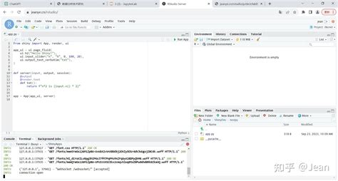 How to Install Shyny in Python 的图像结果