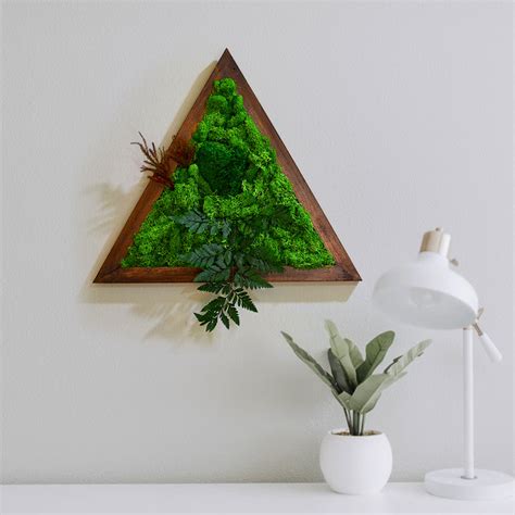 Triad Wilderness Moss Frame Wall Art | Nature‑Inspired Decor – myBageecha