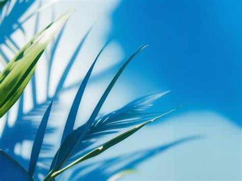 Professional Background 的图像结果