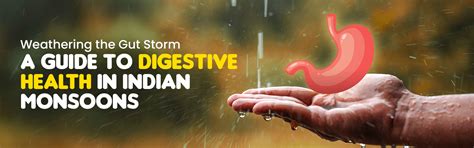 Ayurvedic Guide to Digestive Health in Indian Monsoons – The Punarvasu