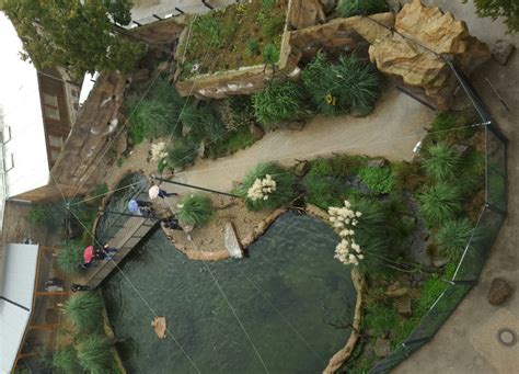 ZooLex Image - Site Plan