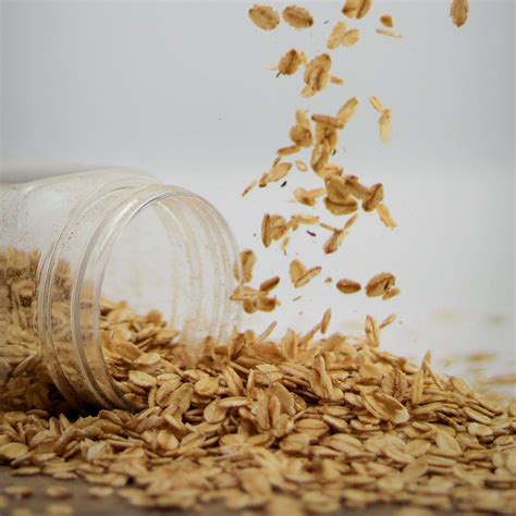 Can Chickens Eat Oats? A Quick Guide for Poultry Owners