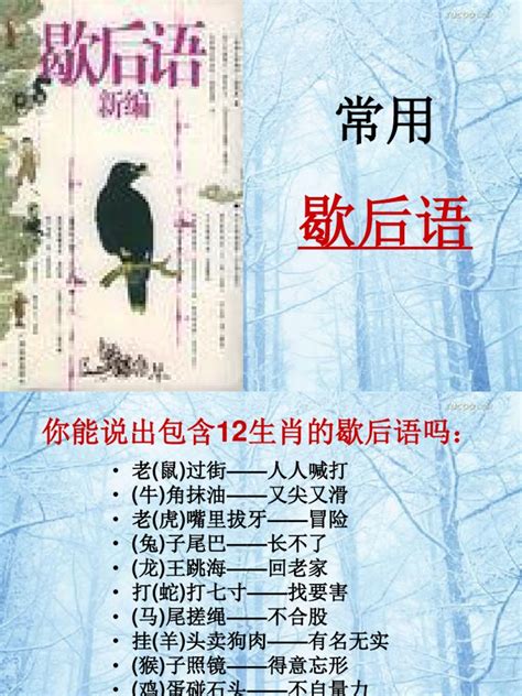 常用歇后语 | PDF