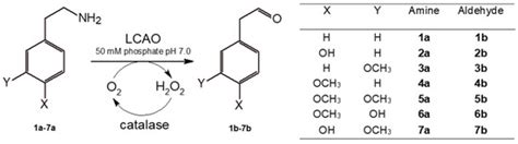 Immobilization of Lathyrus cicera Amine Oxidase on Magnetic ...