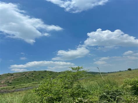 Agricultural/Farm Land for Sale in Naugaon, Alwar - by Nogawa & Sohna ...