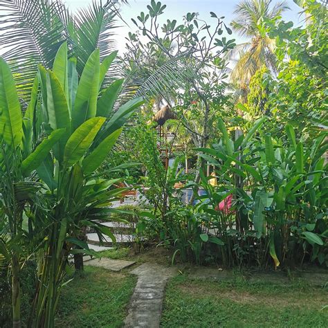 BIRU HOSTEL & BUNGALOWS (Kuta, Lombok) - Hostel Reviews & Photos ...