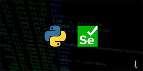 Selenium Python Deutsch 的图像结果