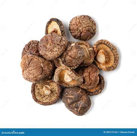 Dry Shiitake Mushrooms Isolated, Raw Shitake Pile, Healthy Organic ...