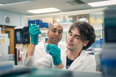 Image result for UBC Graduate Programs