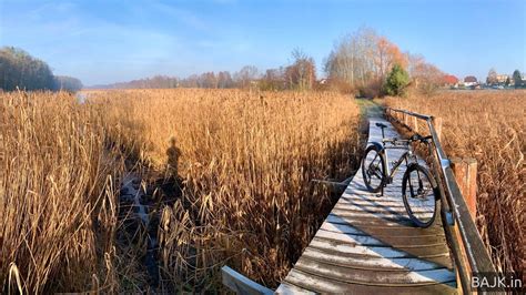 WPN od rana w lekkim mrozie | Bajk.in