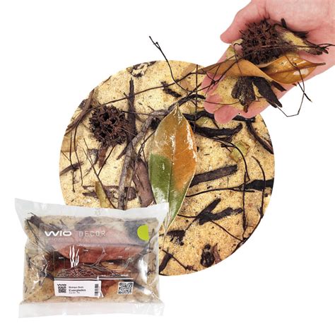 Image result for Wio Substrate