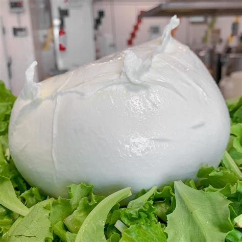 Mozzarella Di Santo di latte di bufala (pezzatura da 1KG) - Caseificio ...