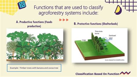 Agroforestry Systems 的图像结果