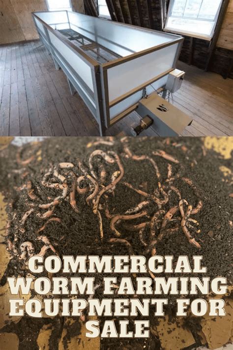 Commercial Worm Production 的图像结果