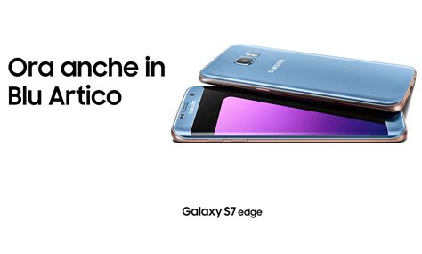 La ricerca delle GIF arriva anche su WhatsApp Web