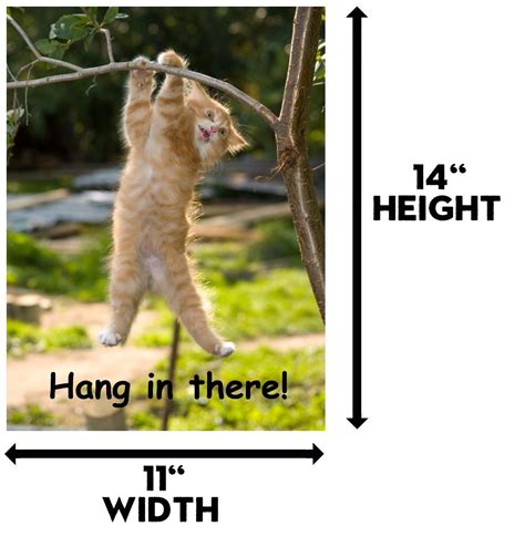 Buy Hang in There Cat Poster - Printed on Premium Cardstock Paper ...