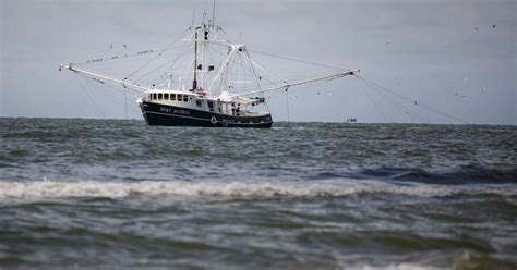 Image result for Loop Current