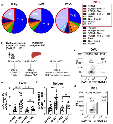 Immune Milieu Established by Postpartum Liver Involution Promotes ...