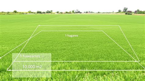 Qualibat : comment obtenir la certification et ses avantages