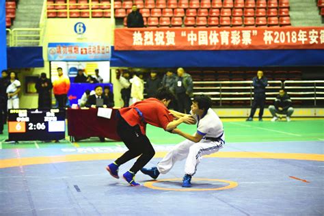 2018安徽省青少年中国式摔跤锦标赛在淮北落幕_国家体育总局
