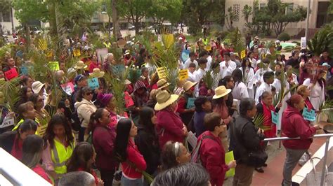 Religious leaders congregate on eve of Palm Sunday to pray for elderly ...