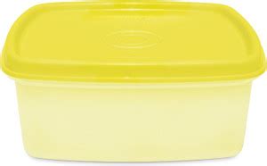 MILTON Plastic Fridge Container - 600 ml Price in India - Buy MILTON ...