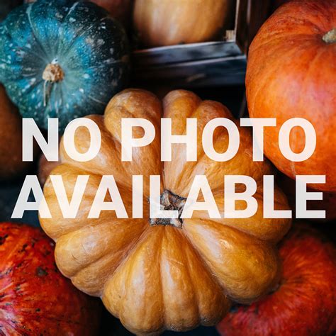 Tandy Pumpkin Pumpkins & Gourds Seed I Kelly Seed Company