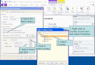 InfoPath Filler 2010 Tutorial 的图像结果