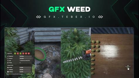 Image result for Weed Client Roblox Script