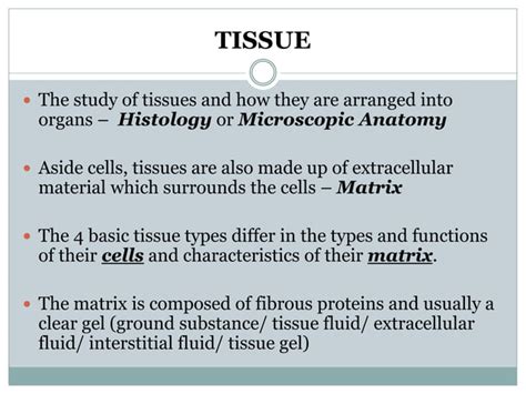 Basic Tissues 的图像结果