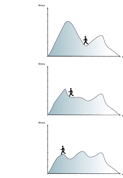 Fitness Landscape 的图像结果