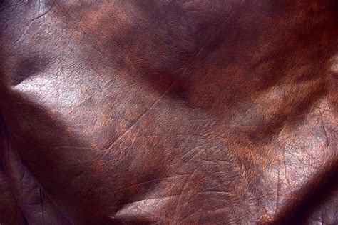 Genuine Leather 2 Free Stock Photo - Public Domain Pictures