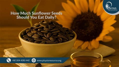 How Much Sunflower Seeds Should You Eat Daily? (Daily Intake + Surprising Benefits)