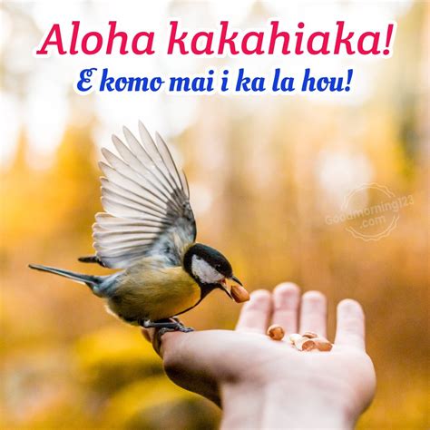 80+ Good Morning Wishes Images In Hawaiian With English Translation