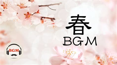 Image result for Springy Music