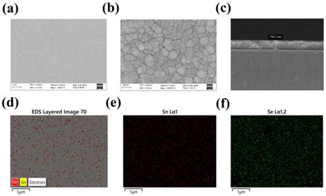 High-Performance Self-Driven SnSe/Si Heterojunction Photovoltaic ...