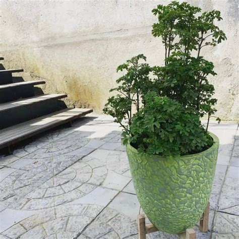 Buy planter flower pot made from frp – The Plant Shop