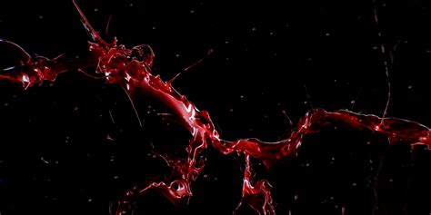 Entropy Song Animation 的图像结果