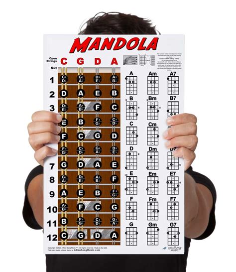 Buy Laminated Mandola Fretboard Notes and Chord Chart Instructional ...