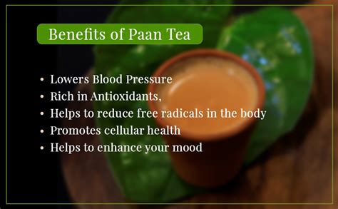 CHAIISH Paan Flavoured Tea | Premium Betel Leaf Infused Chai Patti ...