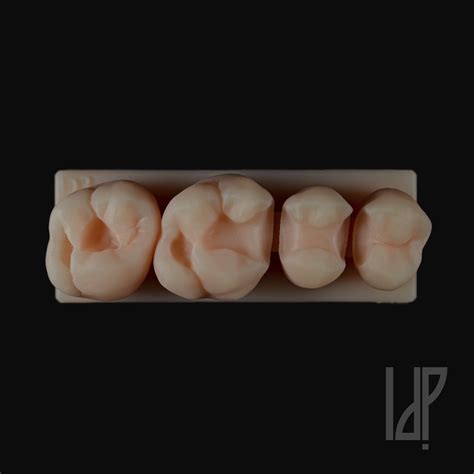 D Models Flexible 的图像结果