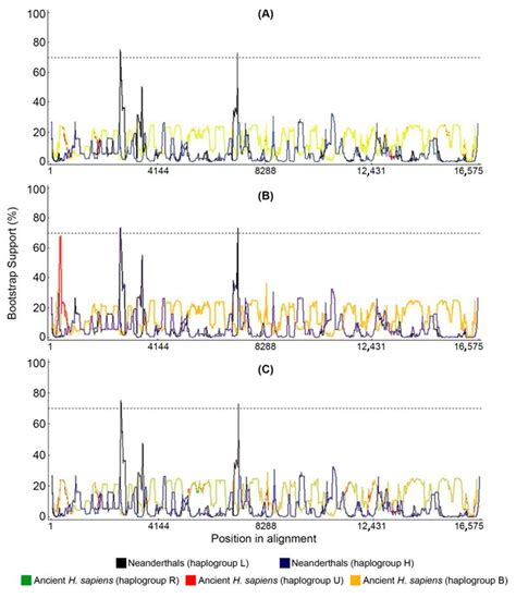 Convergent Mutations and Single Nucleotide Variants in Mitochondrial ...